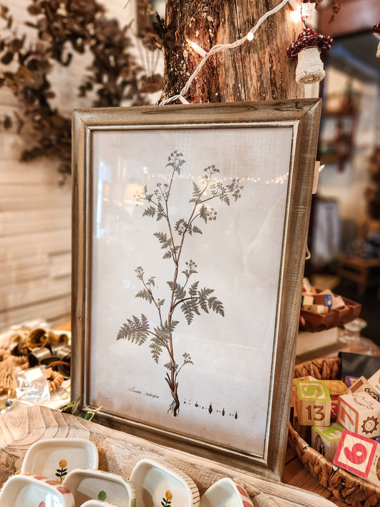 Fern Art Work (Assorted)