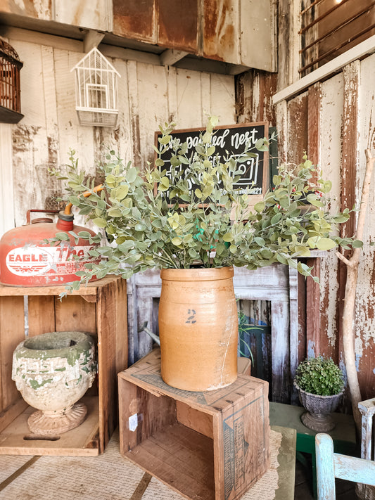 Holli Eucalyptus Bundle