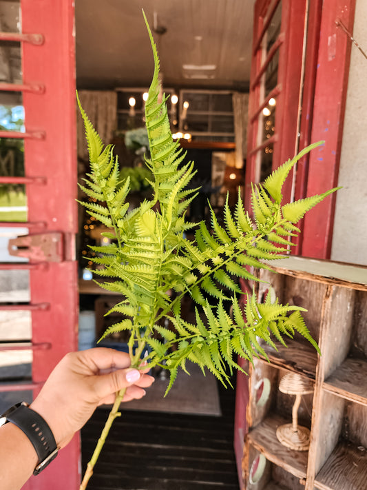 Jolene Sword Fern Stem