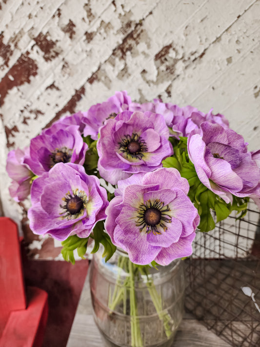 Annie Anemone Stem (Real Touch)
