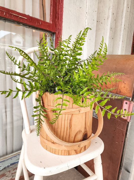 Lily 14" Fern