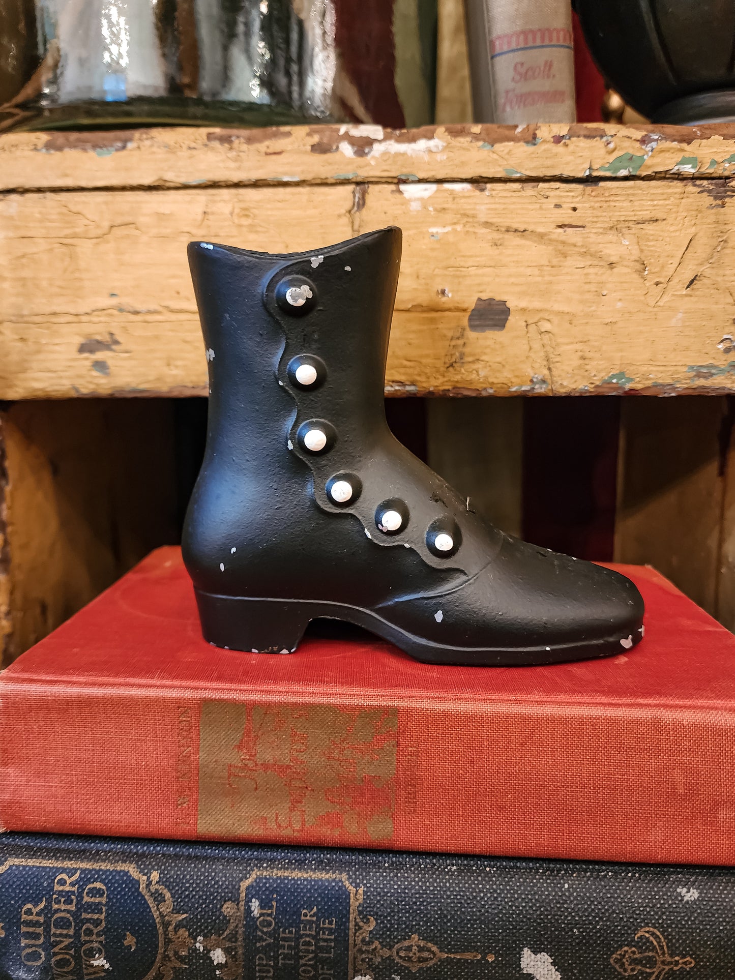 Vintage Victorian Boots (Assorted)