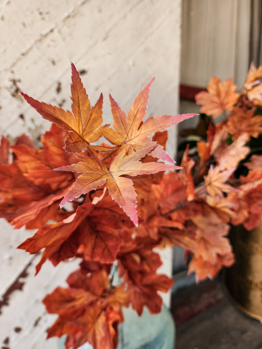 Salem Maple Leaf Stem