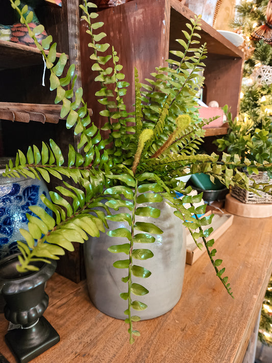 Jesup Real Touch Fern