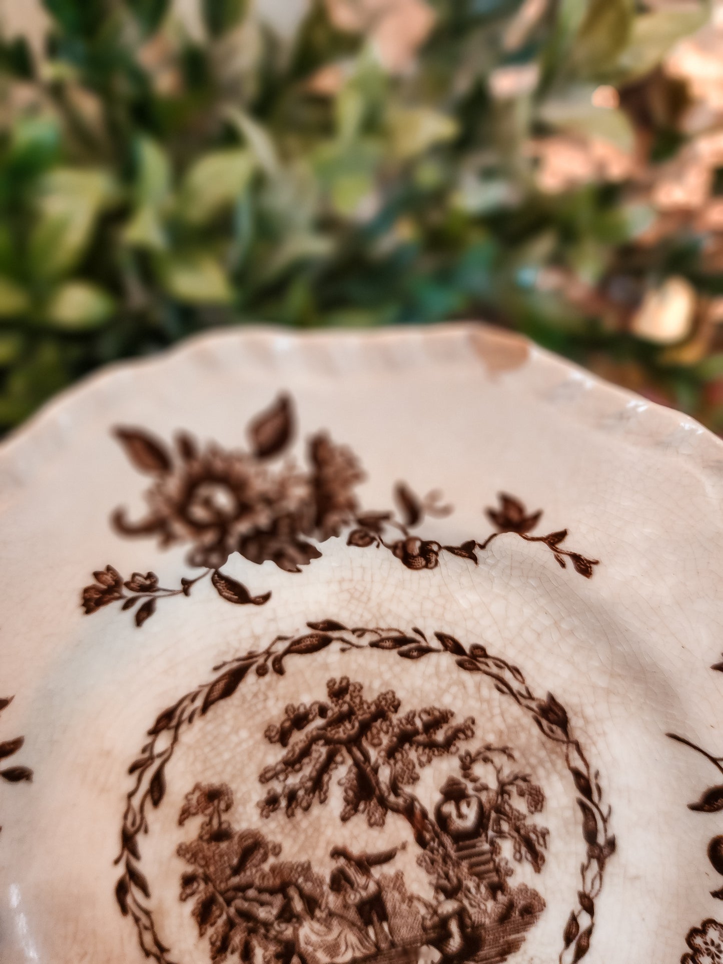 Mason's "Watteau" Saucers (Set of 2)