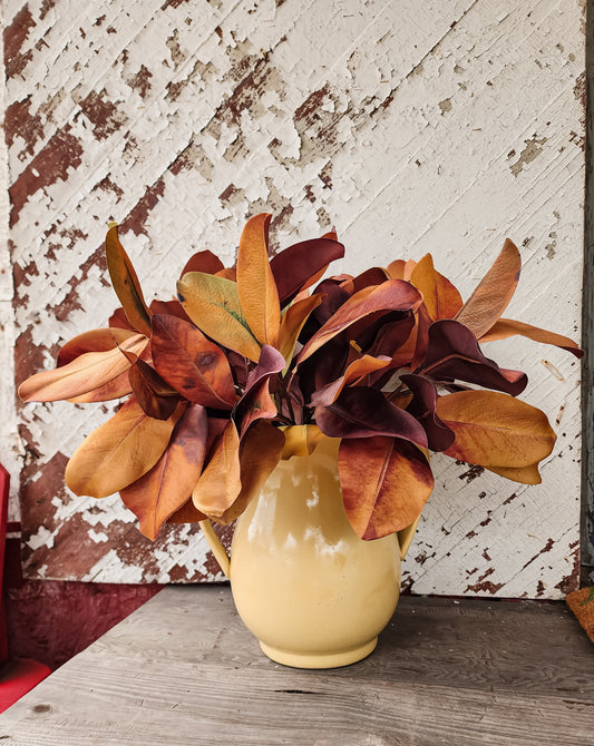Magnolia Leaf Stem (Assorted)