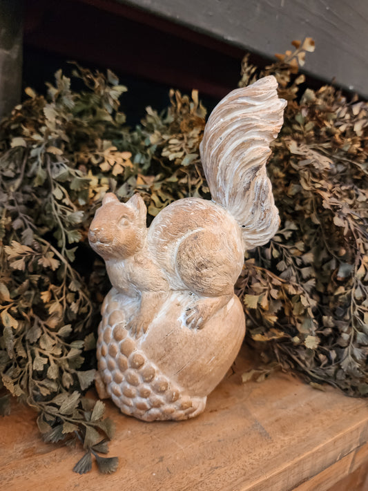 Cement Squirrel on Acorn (Assorted)