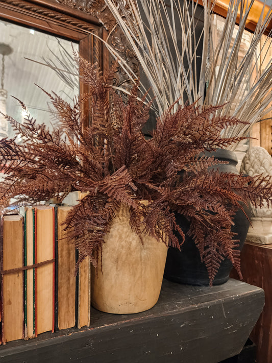 Brownlee Fern Bush