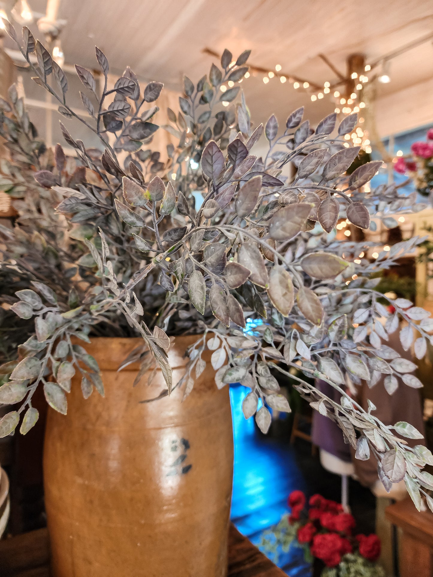 Willow Ruscus Bush (Plum)
