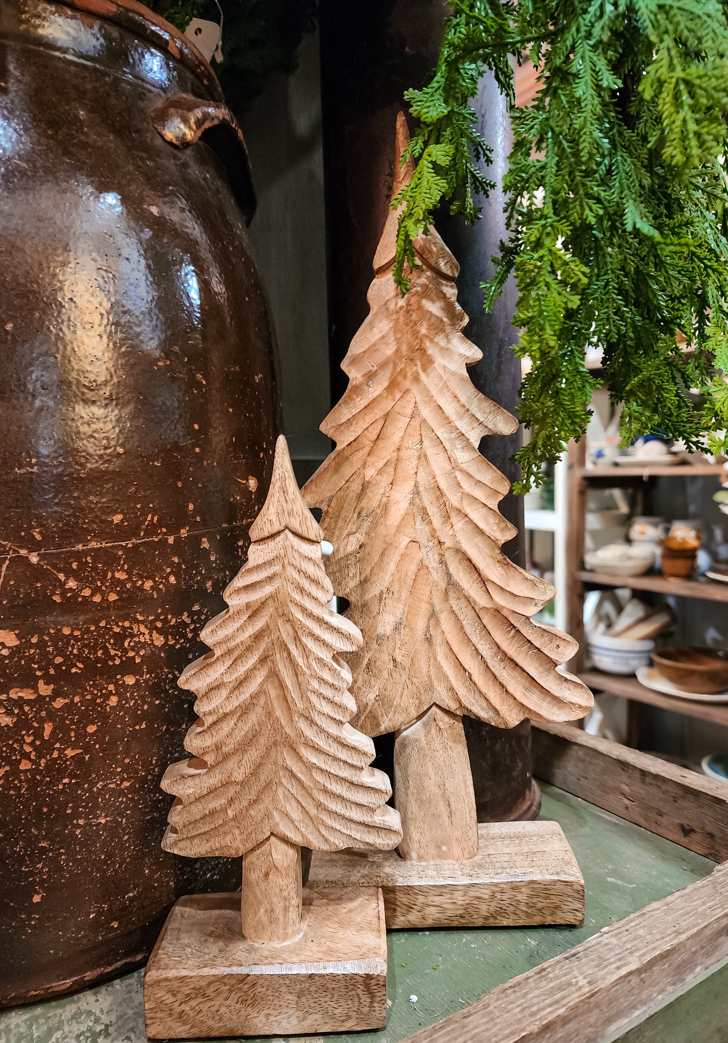 Mango Wood Tree (Assorted)