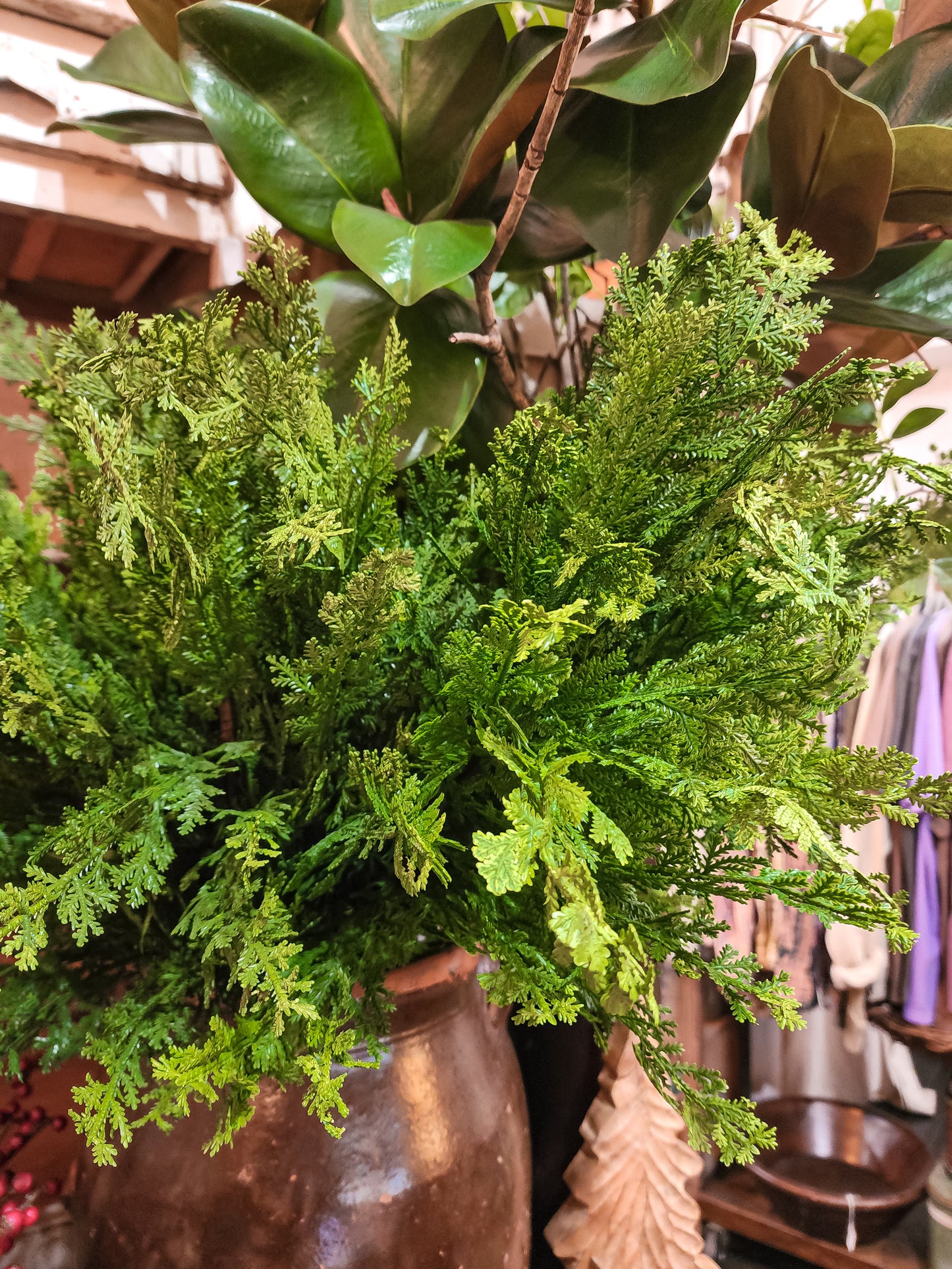 Northern Cedar Spray