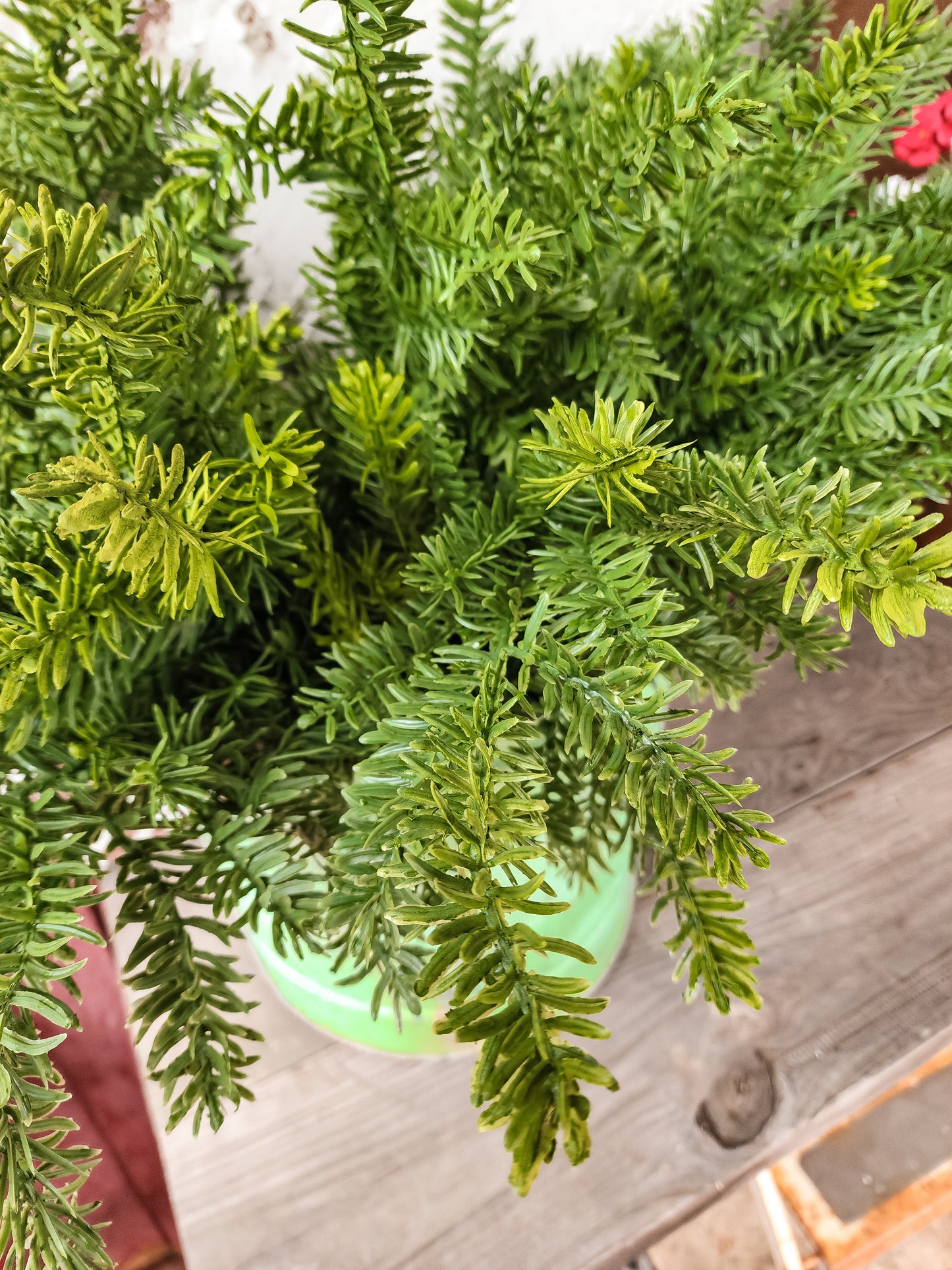 Noble Fir Stem (Real Touch)