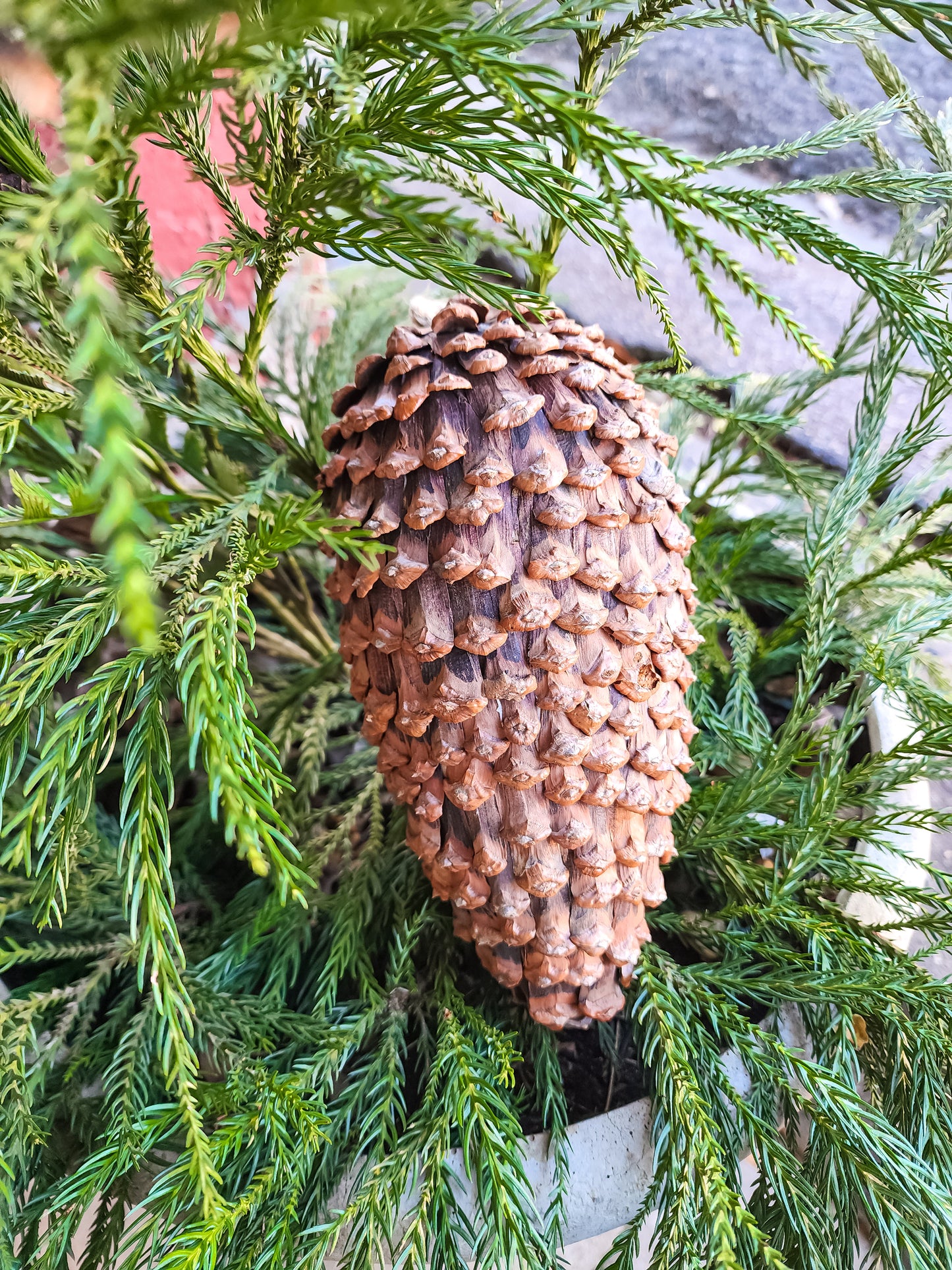 Final Shape Pinecone