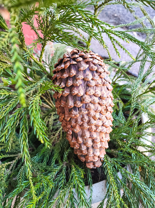 Final Shape Pinecone