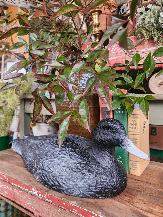 Black Plastic Mallard Duck