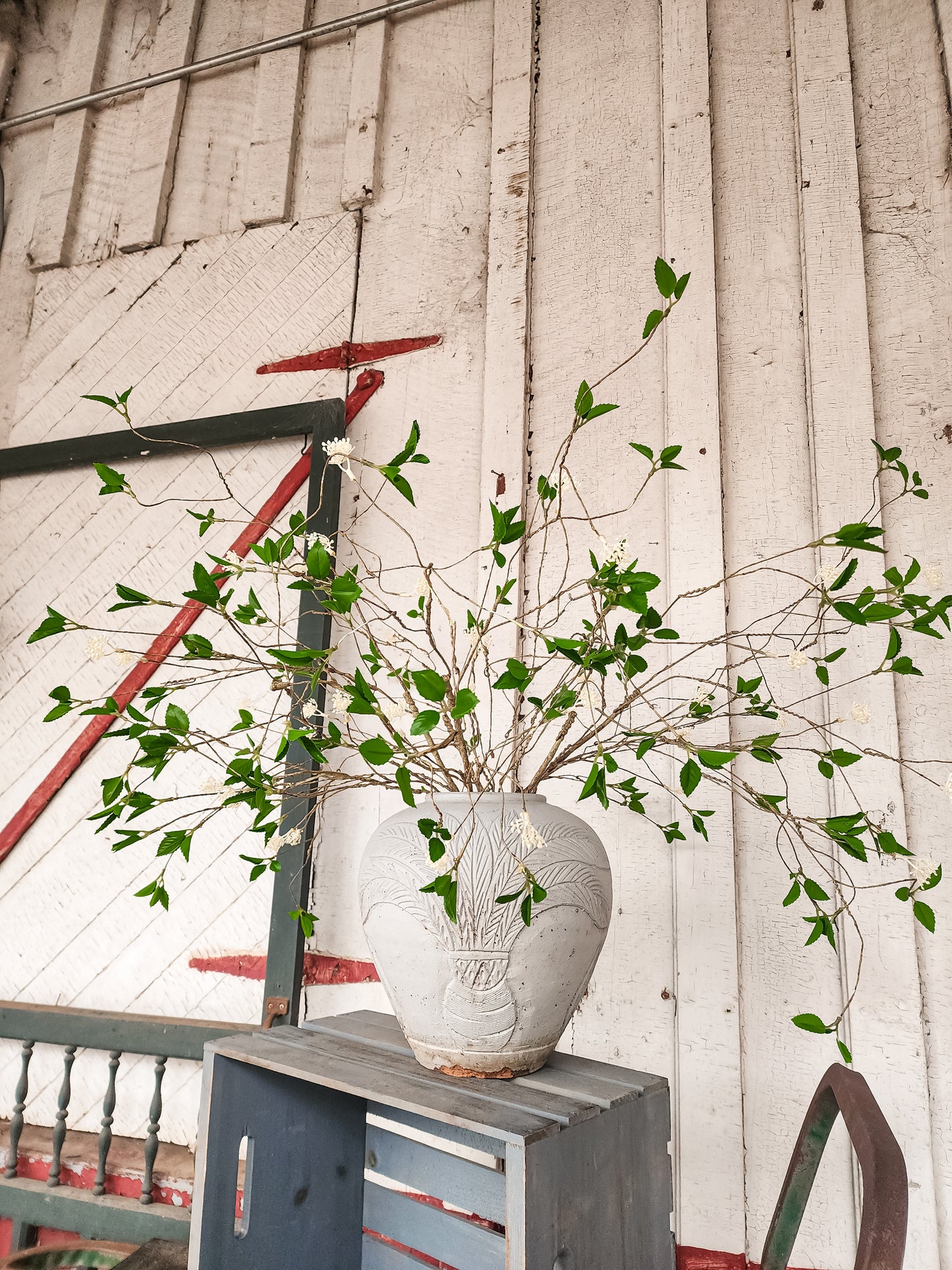 Willow Budding Branch