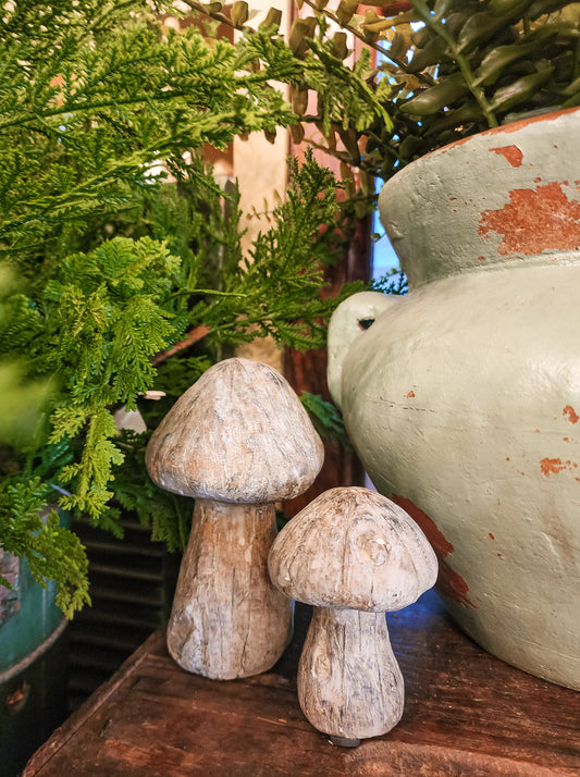 Birch Texture Cement Mushroom (Assorted Sizes)