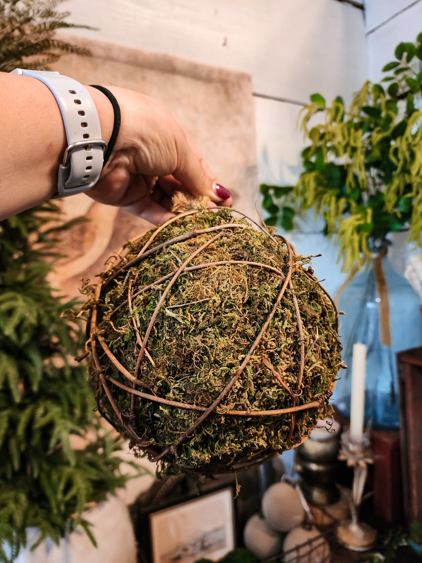 Twig Sweet Annie Vine Ball