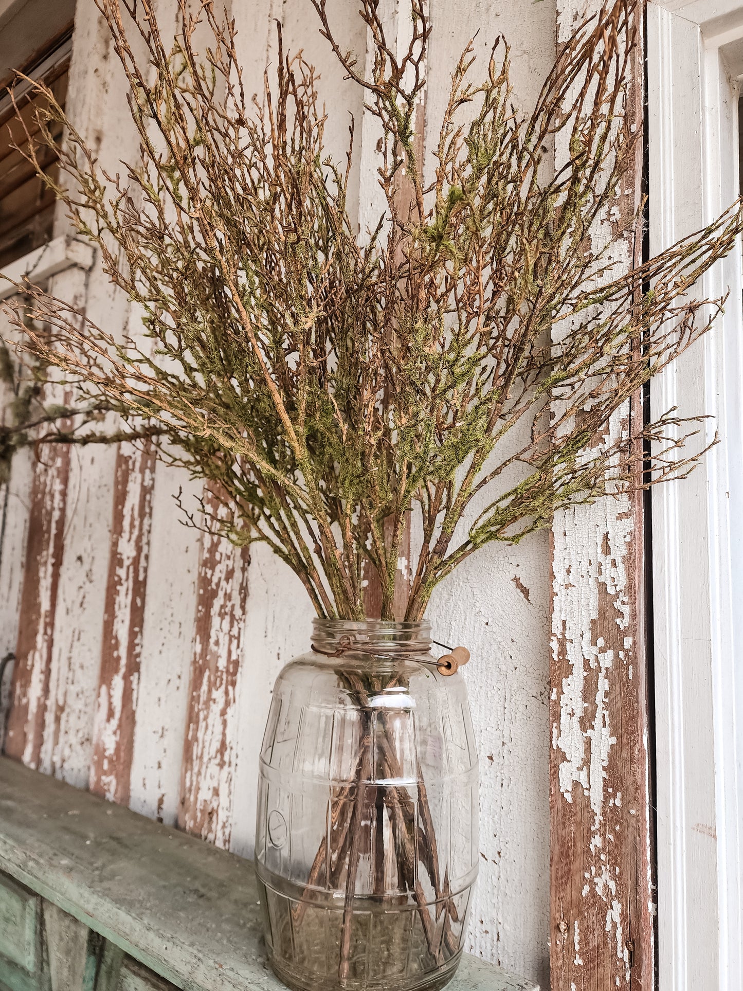 Twig Vine W/Moss Spray
