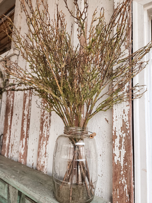 Twig Vine W/Moss Spray