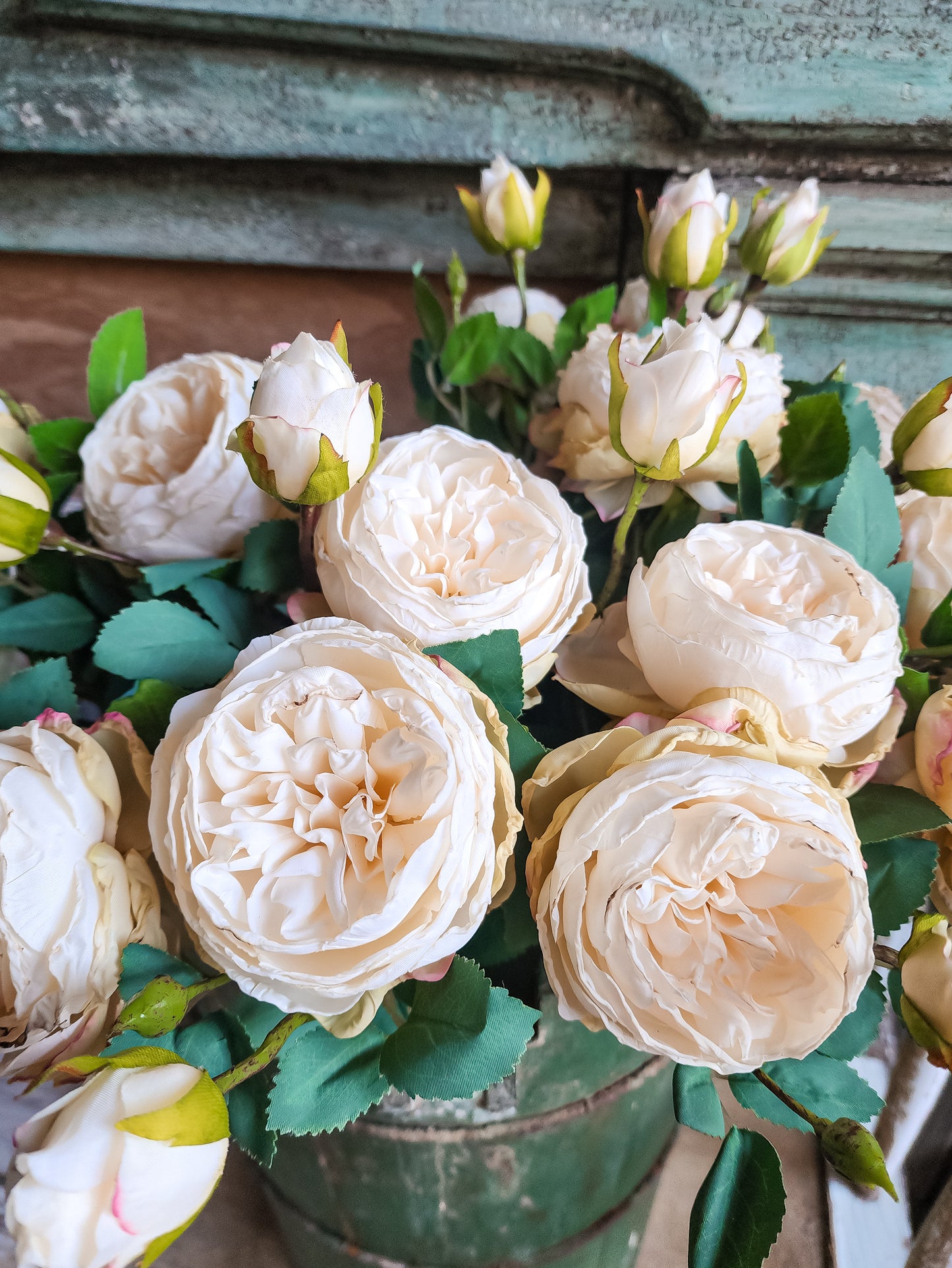 Heirloom Cabbage Rose