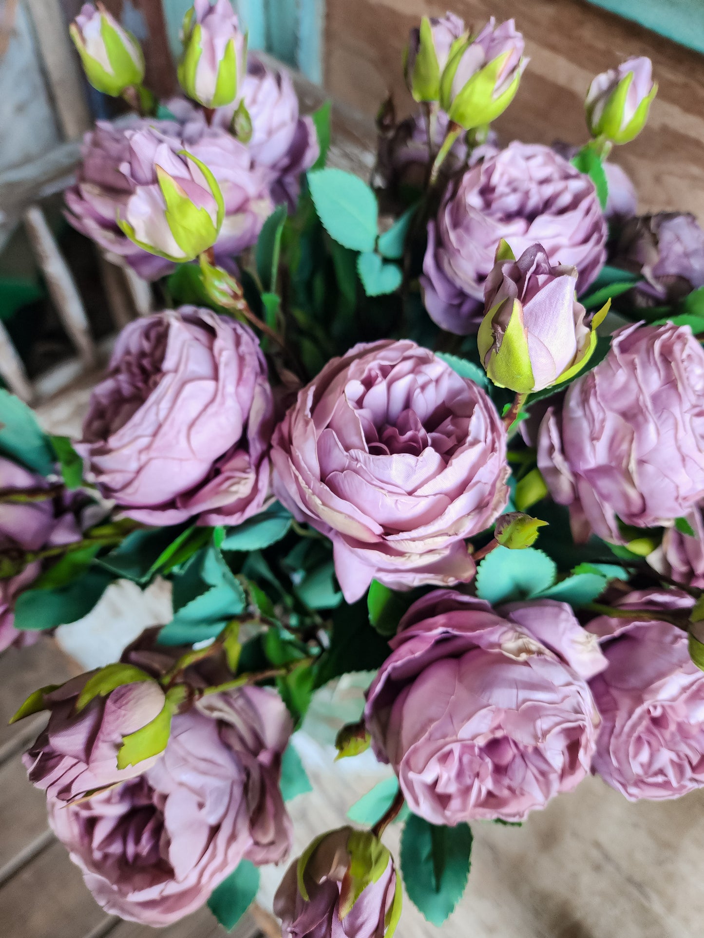 Heirloom Cabbage Rose