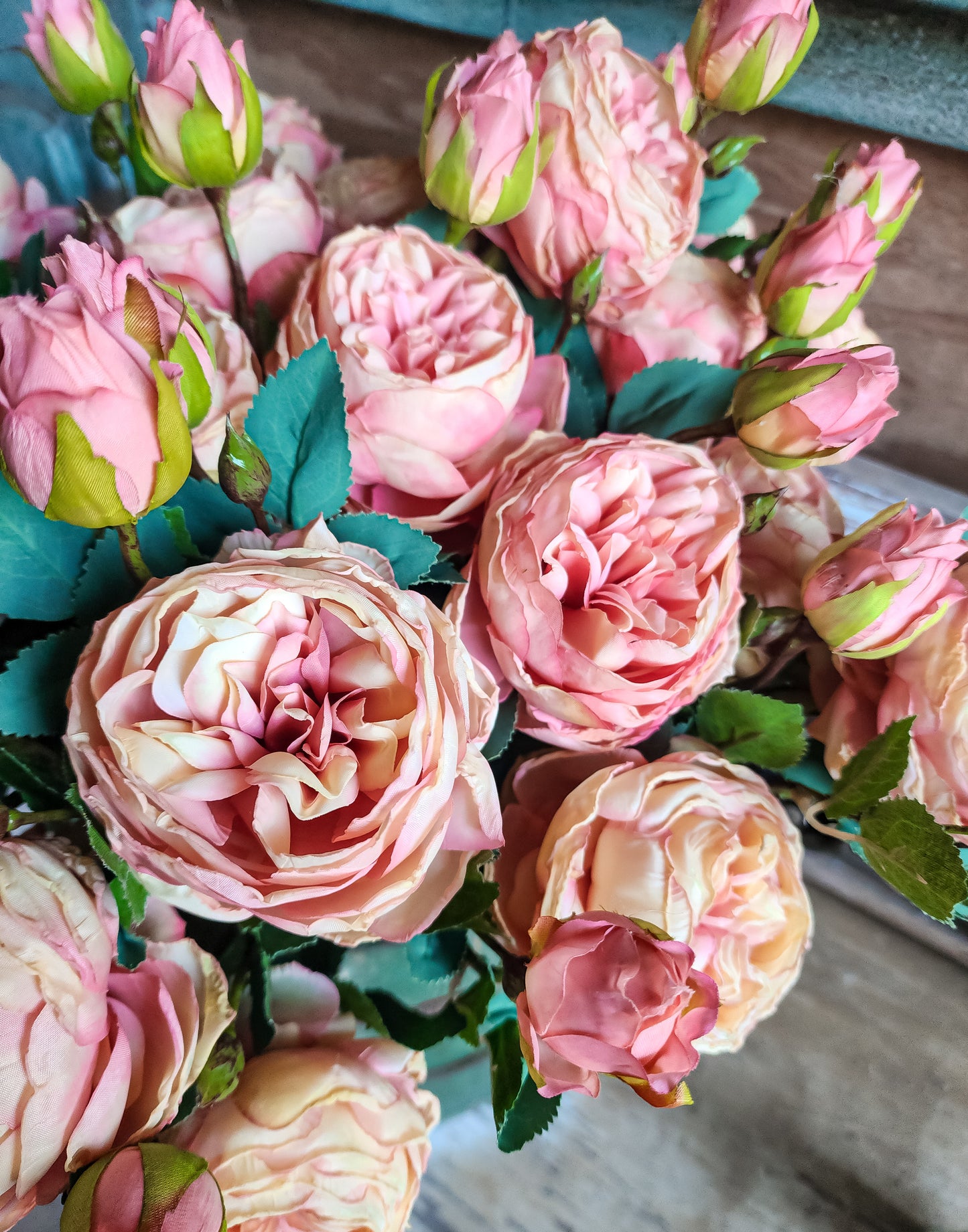 Heirloom Cabbage Rose