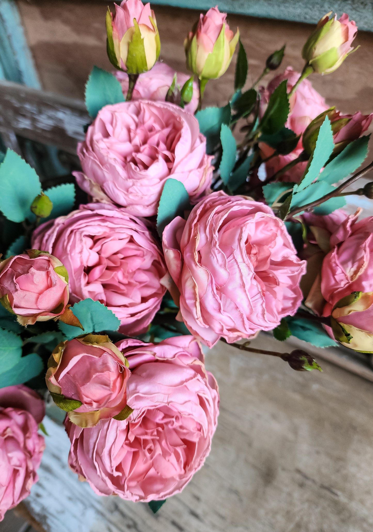 Heirloom Cabbage Rose