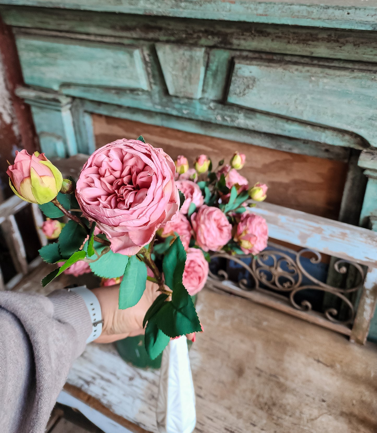 Heirloom Cabbage Rose