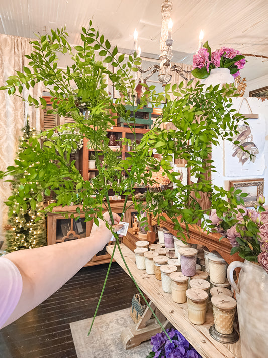 41" Wild Ruscus Spray