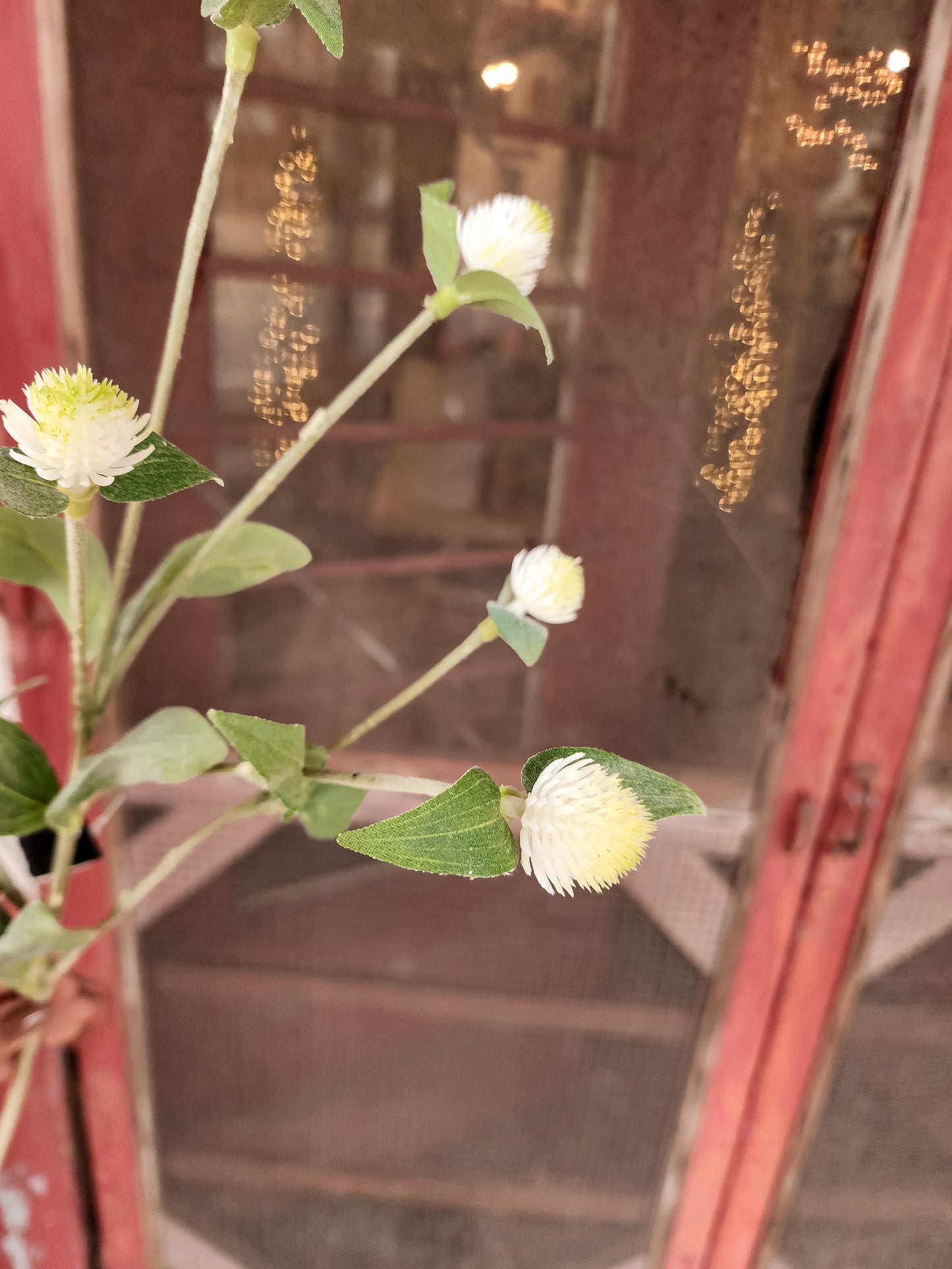 White Thistle Stem