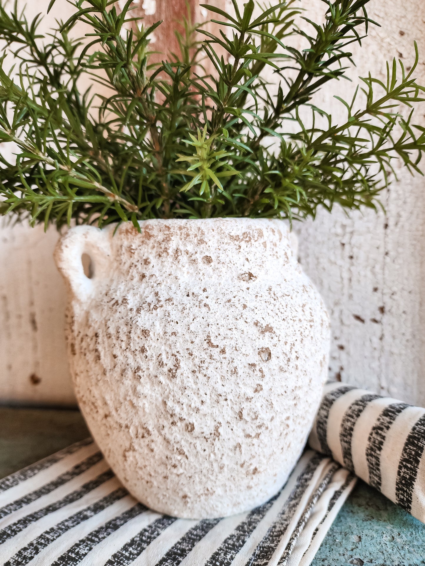 Ceramic Vase with Rosemary Situation