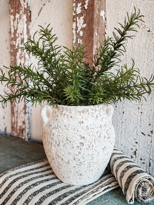 Ceramic Vase with Rosemary Situation