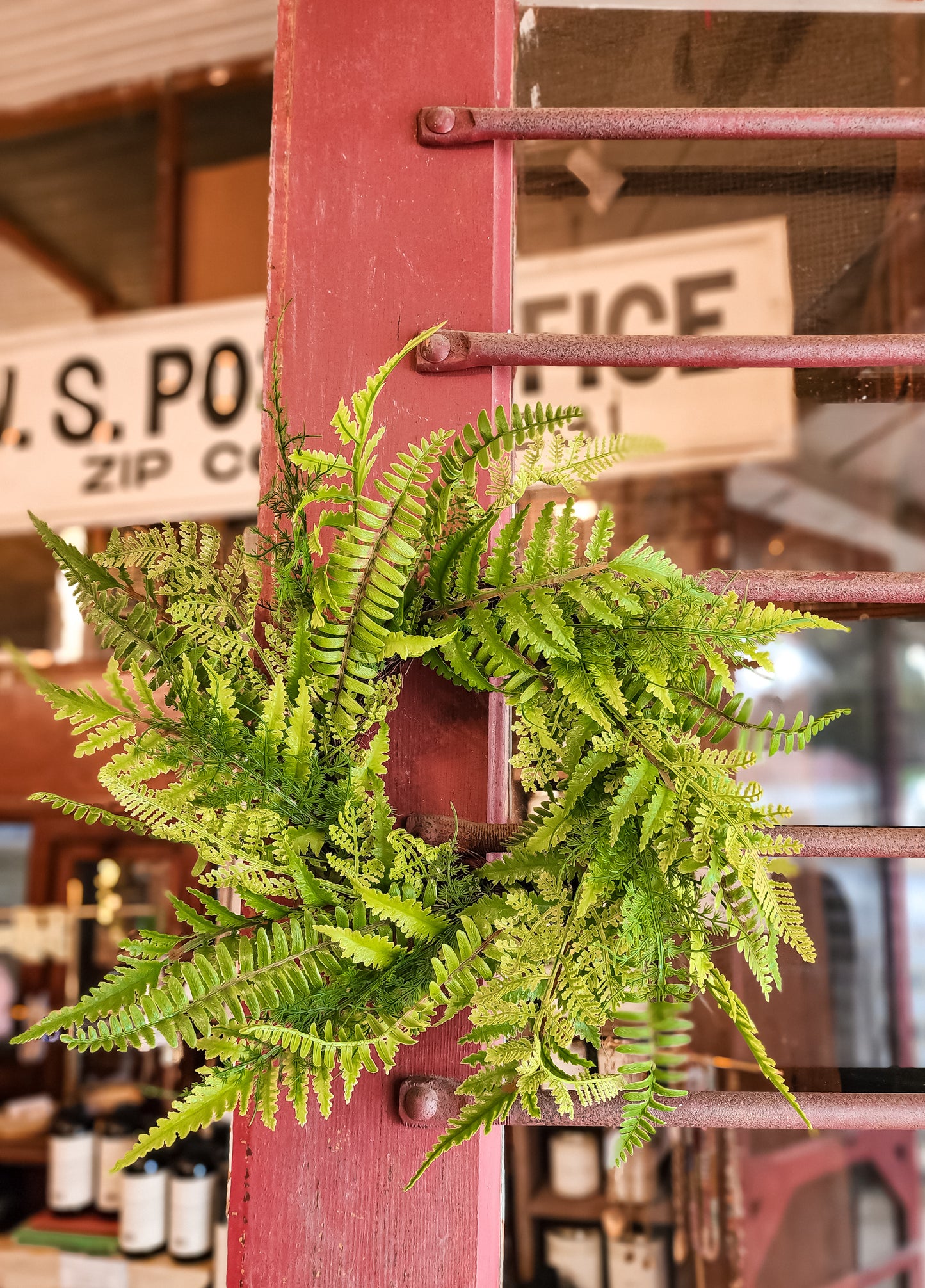 14" Multi Fern Wreath