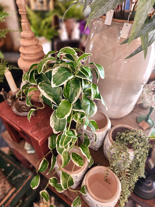 Potted Variegated Faux Plant