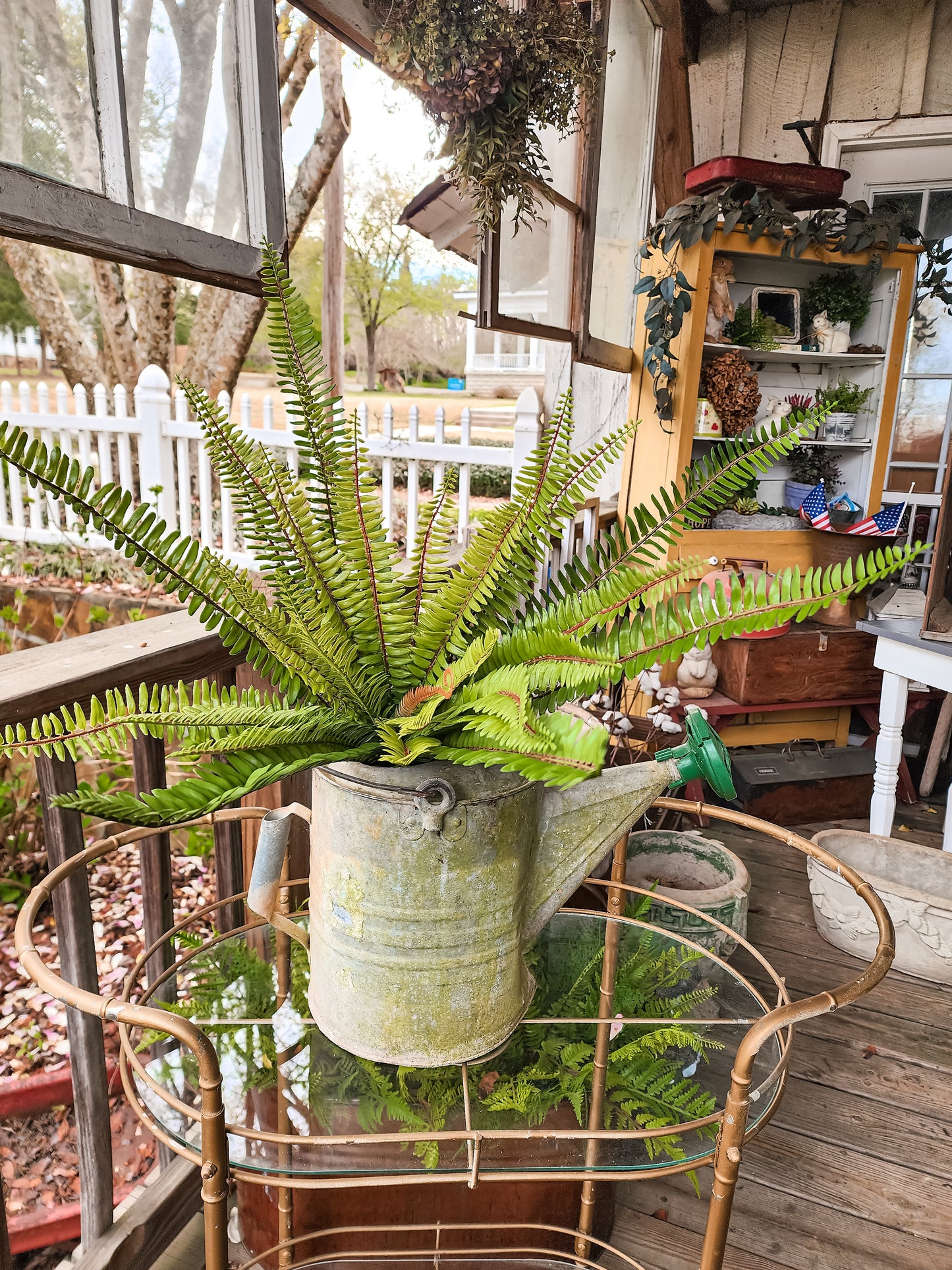 Jonah 26" Fern