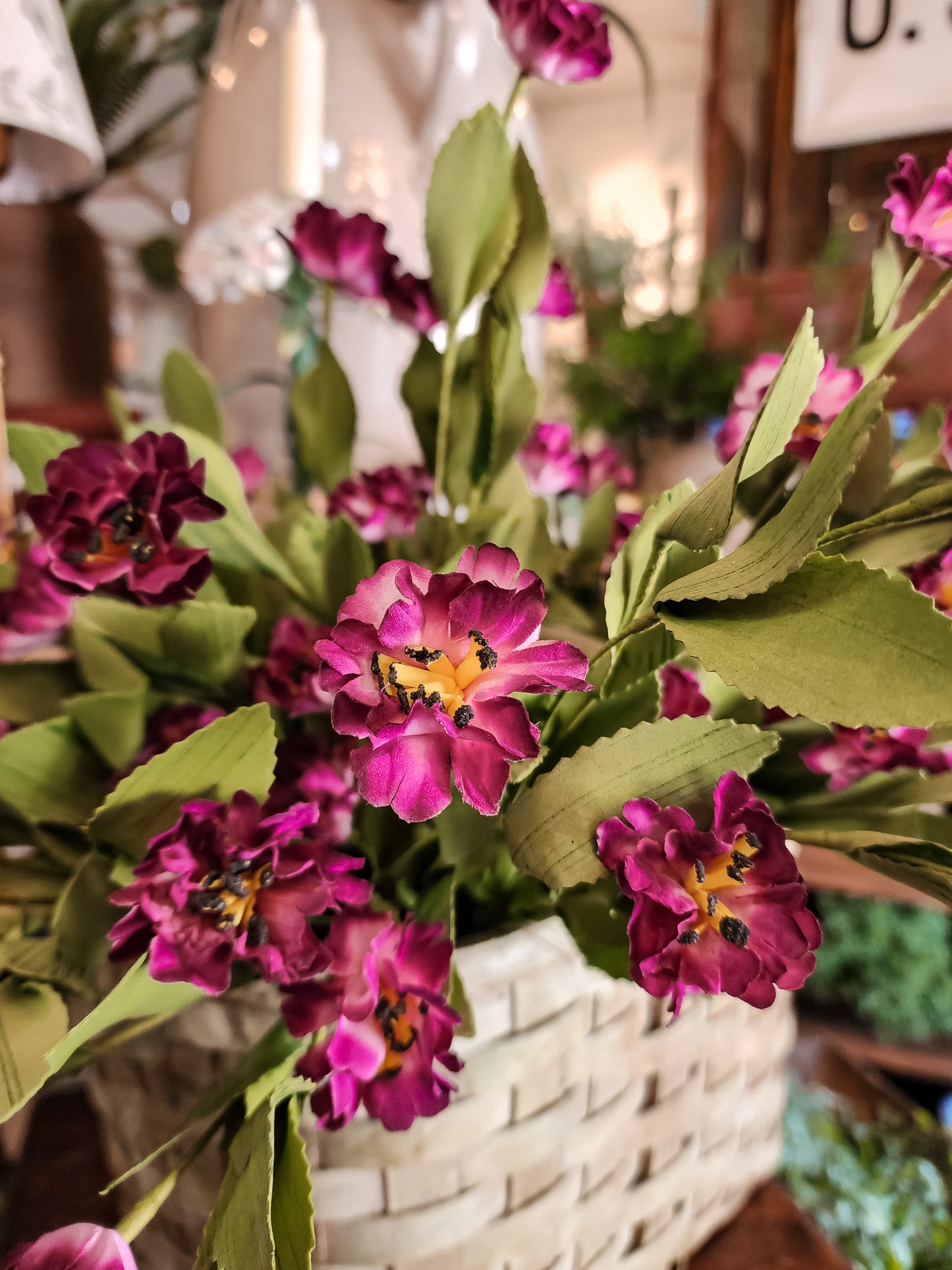 Purple Dianthus Bush