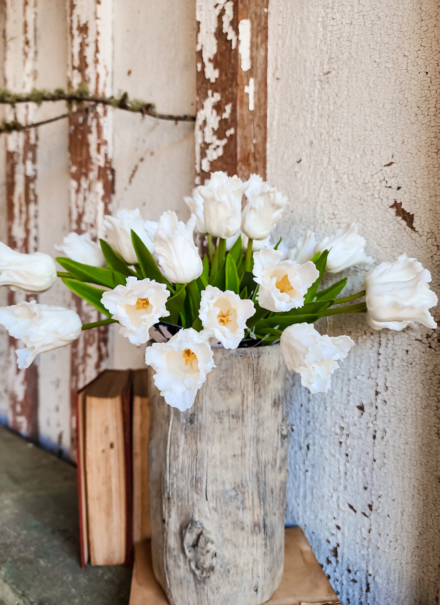 (White) Single Stem Parrot Tulip