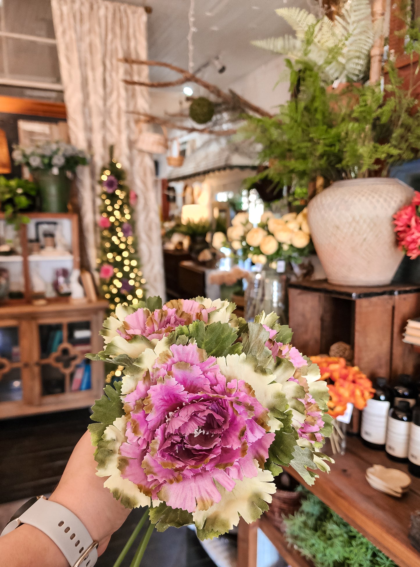 Purple Cabbage Bundle