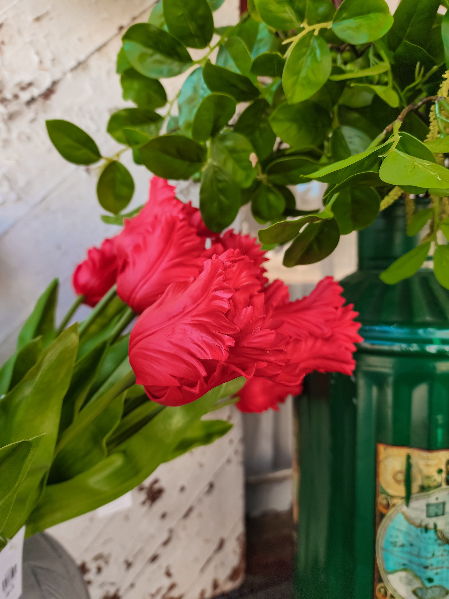 (Large Red) Single Stem Parrot Tulip