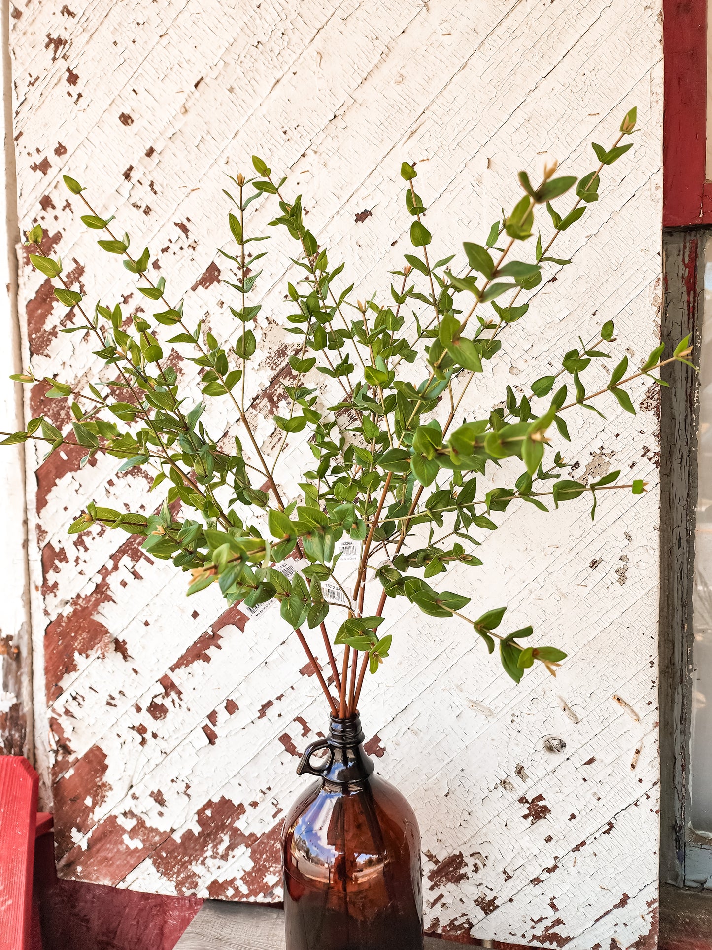 Mini Leaf Eucalyptus Stem
