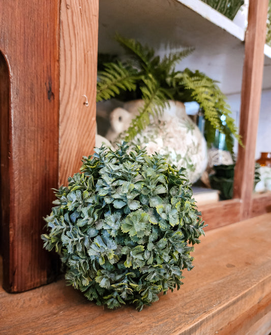 Creeping Sedum Ball