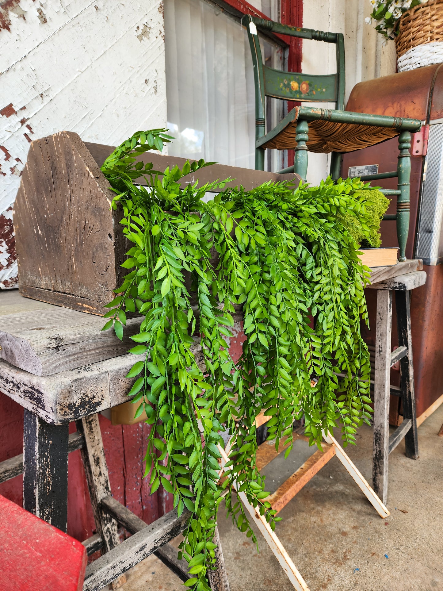 Hanging Ruscus Greenery