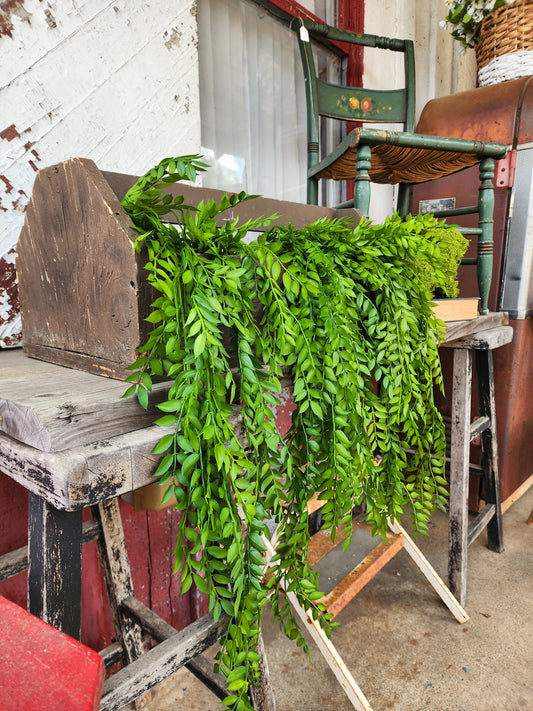 Hanging Ruscus Greenery