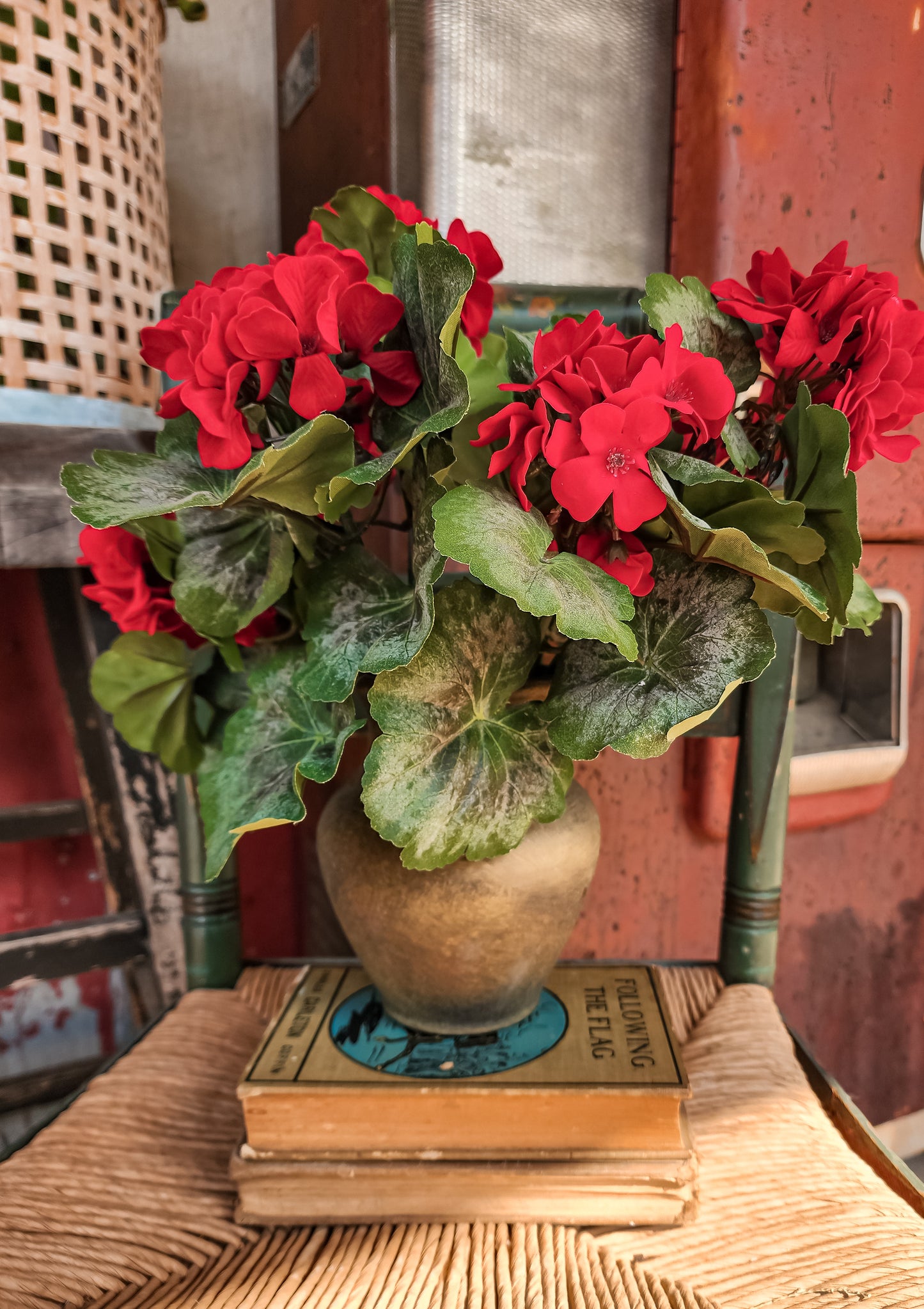 Red Geranium Bush
