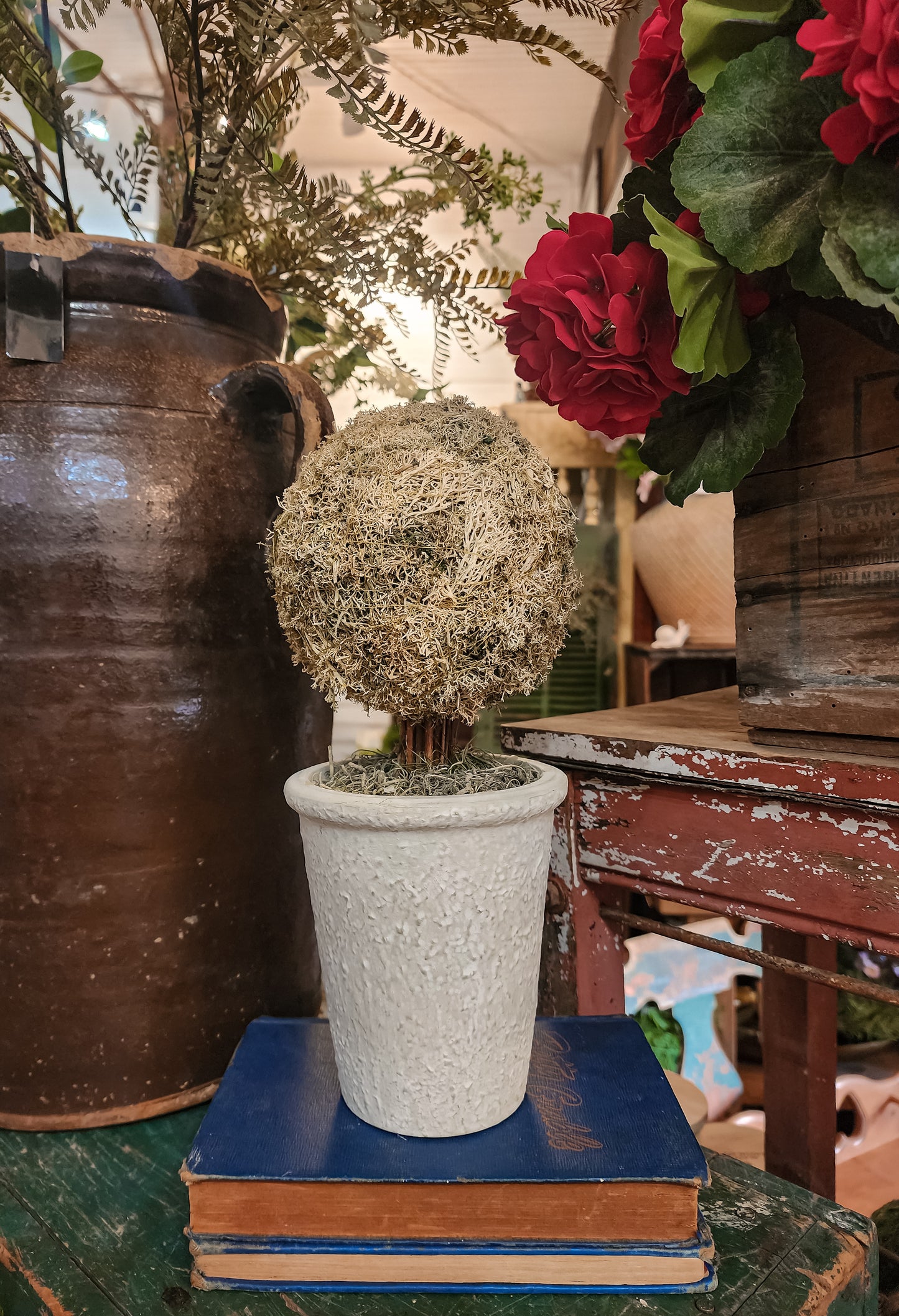 Potted topiary