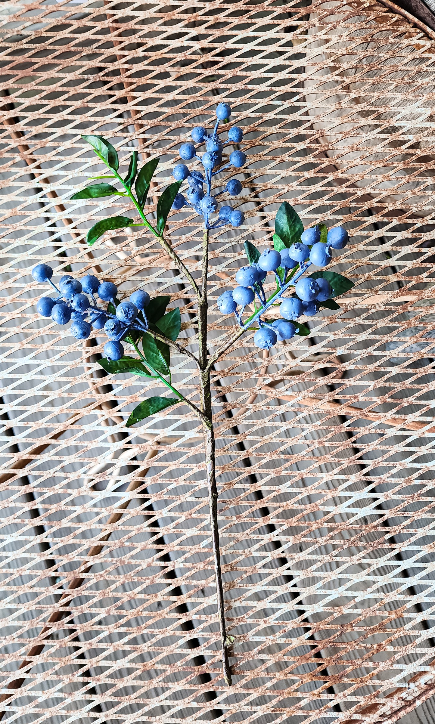Short Blueberry Pick