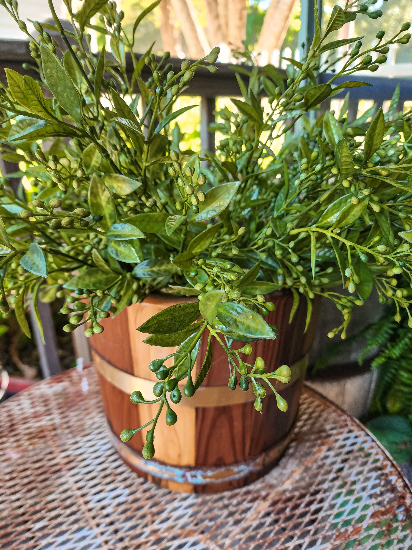 Berry Leaf Bush