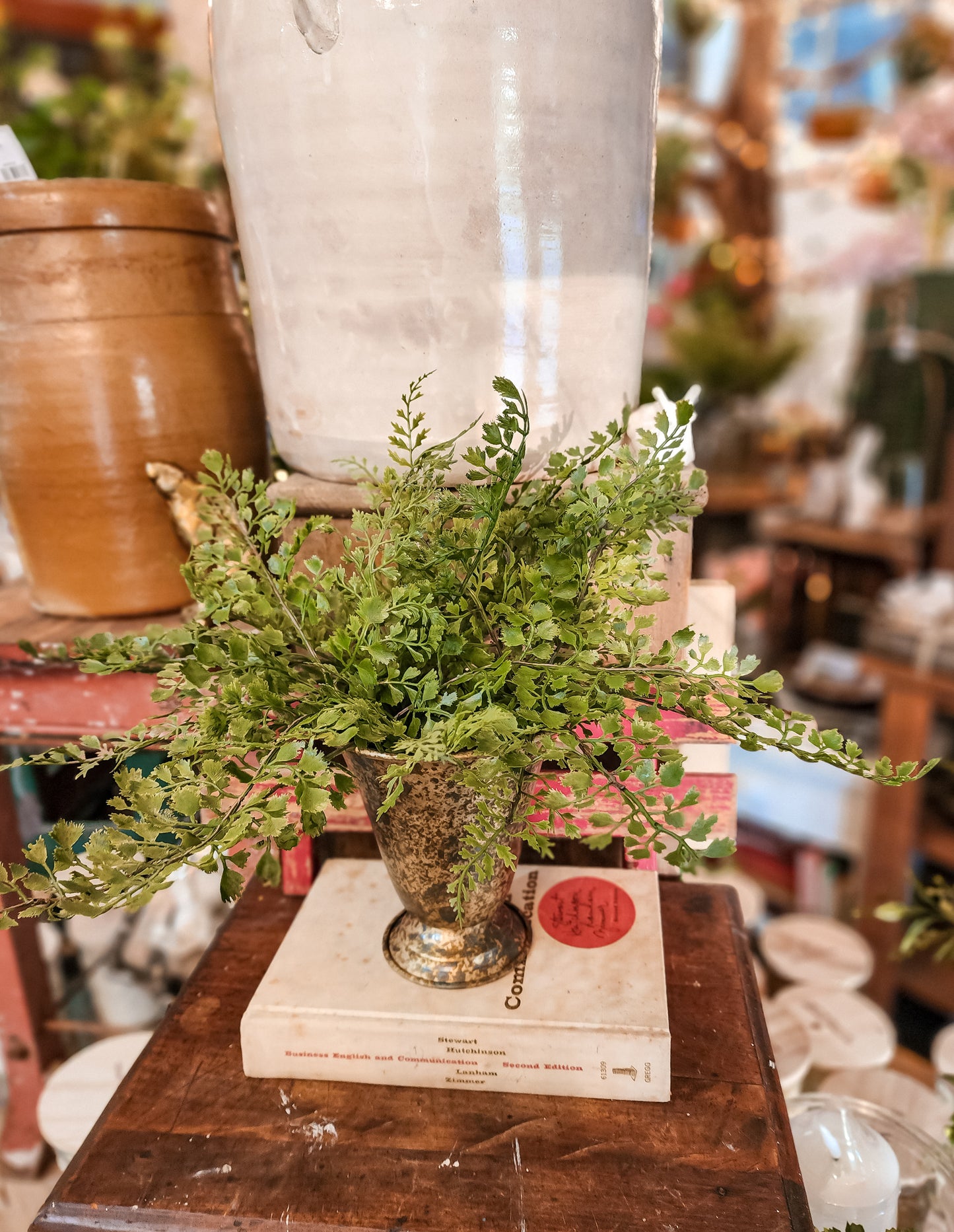 Bundle Maiden Hair Fern