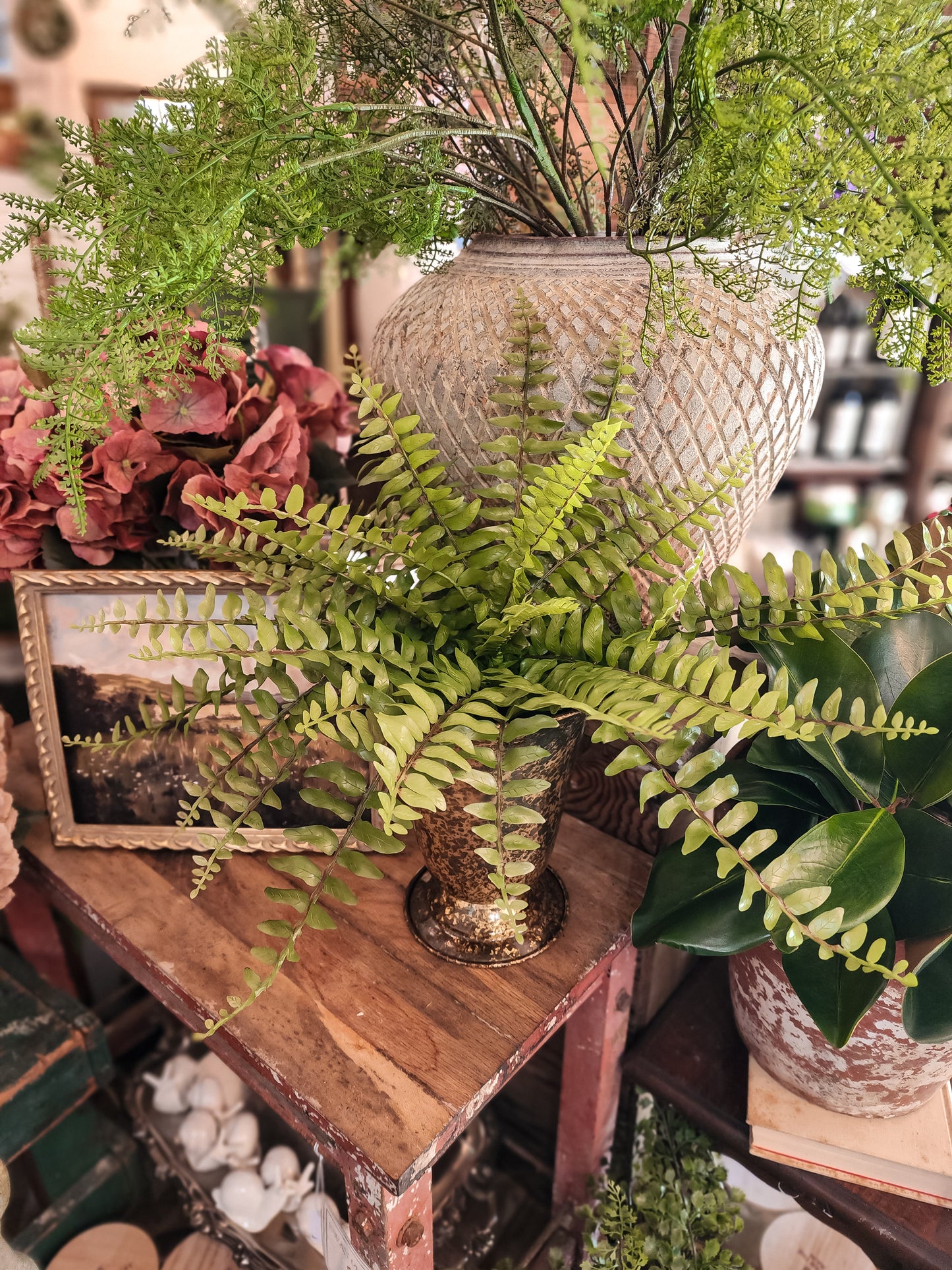 Rea 16" Boston Fern